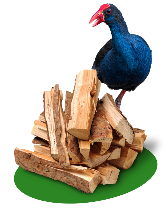 Pukeko and wood