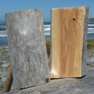 Willow Wood Thumbnail